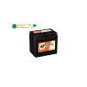 BATTERIE BANNER 12V 30Ah 360A 53030 AGM